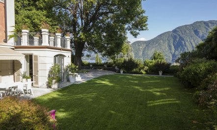 Acacias on the Lake 1