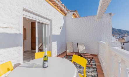 The Sunkissed Seabird 8