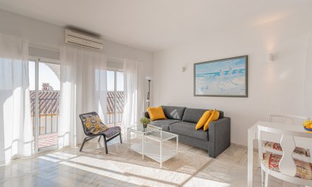 The Sunkissed Seabird 2