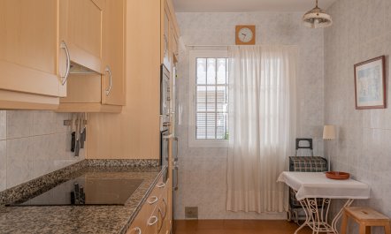 The Sunkissed Seabird 9