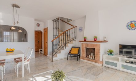 The Sunkissed Seabird 4