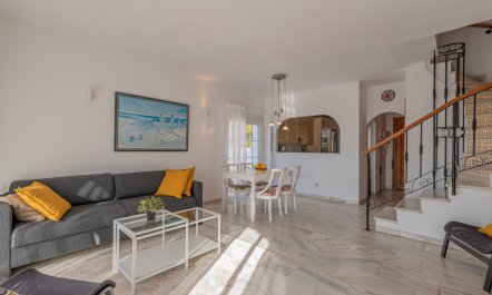 The Sunkissed Seabird 3