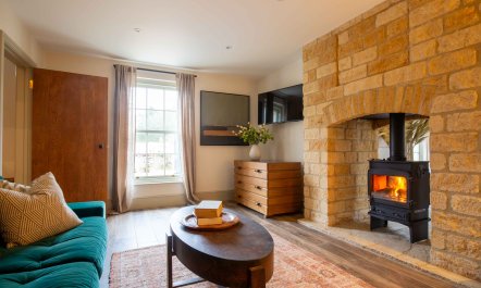 The Wisteria Bloom 5