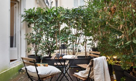 Leafy Terrace 2