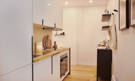 Eucalyptus Foilage 5