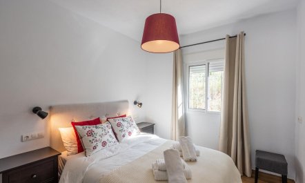 Rolling into the Evening 6