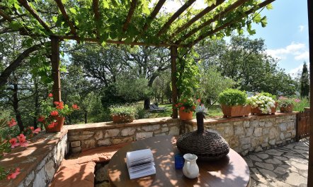 The Chianti Valley 9