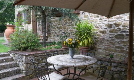 Tuscan Gaze 7