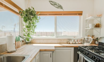 The Chaparral Oasis 5