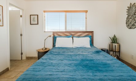 The Chaparral Oasis 8