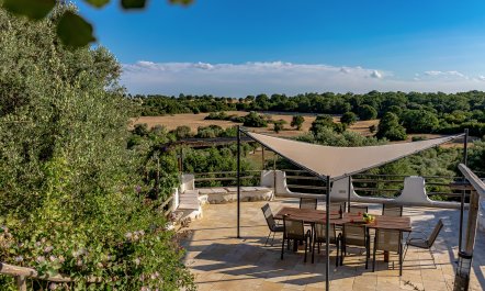 Trees & Trulli 5