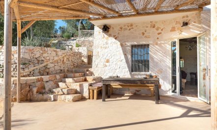 Trees & Trulli 8
