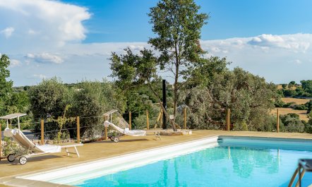 Trees & Trulli 2