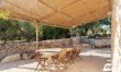 Trees & Trulli 7