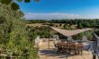 Trees & Trulli 5