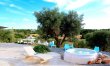 Trees & Trulli 3
