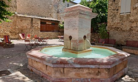 The Champagne Haze 9