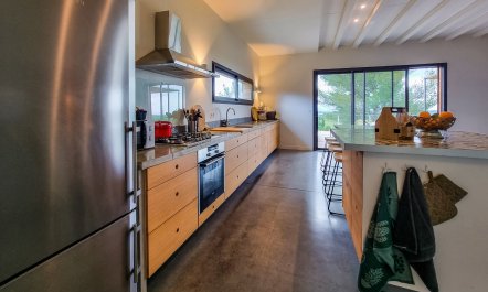 The Champagne Haze 5