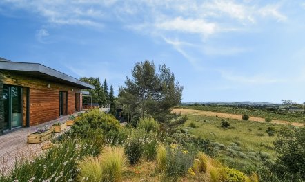 The Champagne Haze 6