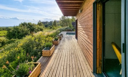 The Champagne Haze 2