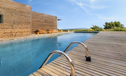 The Champagne Haze 3