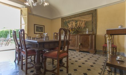 A Portrait of Life 1