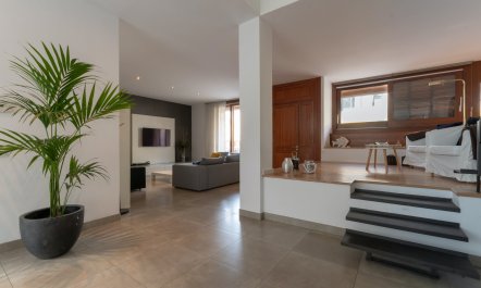 Limestone Daydreams 6