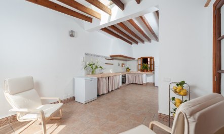 Palm Trees & Church Bells 3