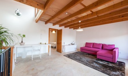 Palm Trees & Church Bells 6