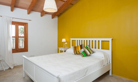 Palm Trees & Church Bells 7