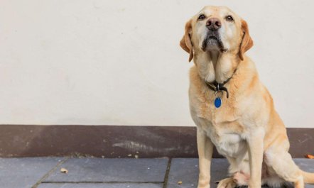 2 Bed in Woolacombe 3