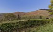 1 Bed in Machynlleth 8