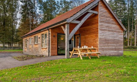 3 Bed in King's Lynn