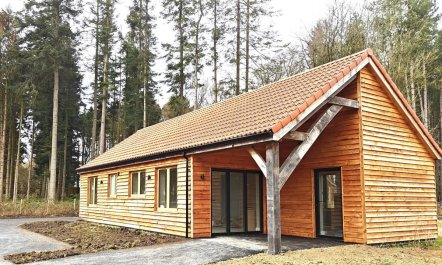 3 Bed in King's Lynn 1