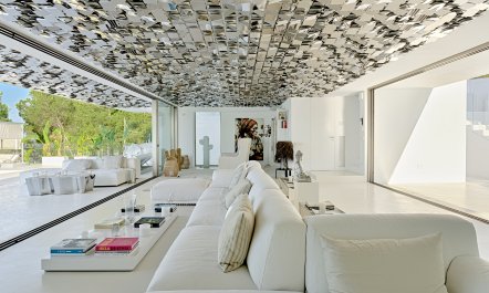 Shimmer & Sunlight 1