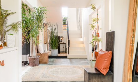 Topanga Tranquillity 1