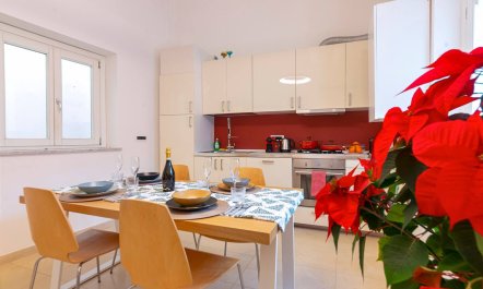 Palermo Perfection 6