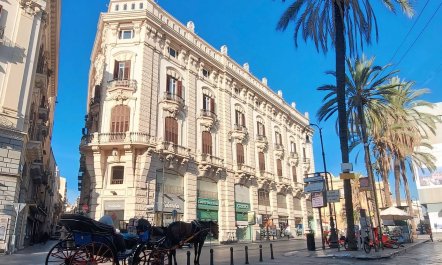 Palermo Perfection 1