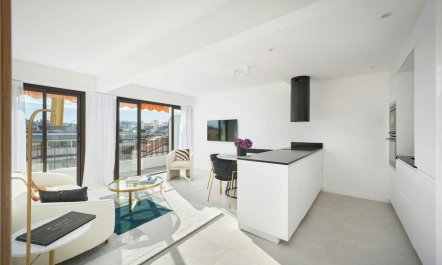 The Sunshine of Cannes 4