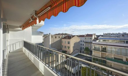 The Sunshine of Cannes 2