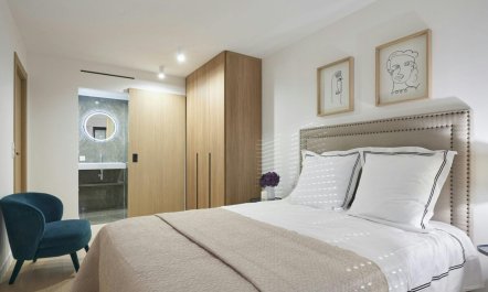 The Sunshine of Cannes 7