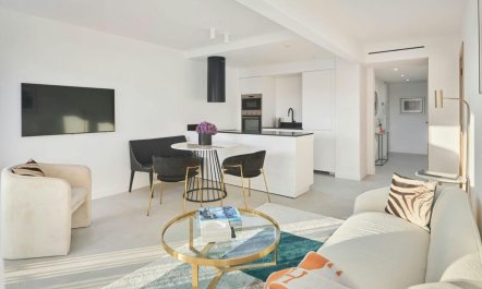 The Sunshine of Cannes 5