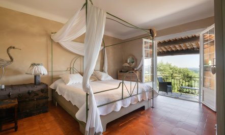 Lac de Saint-Cassien View 8