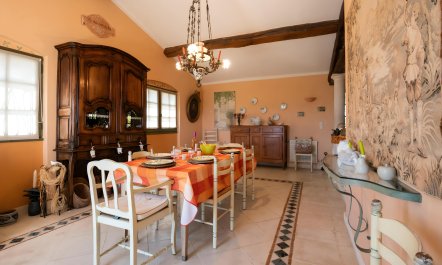 Lac de Saint-Cassien View 6