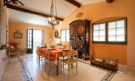 Lac de Saint-Cassien View 5