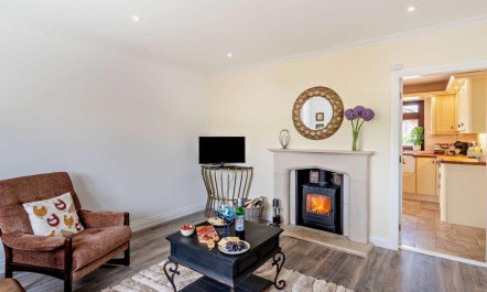 3 Bed in Falkirk 4