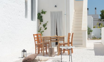 Olive Grove Serenity 4