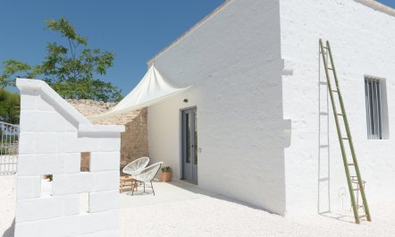 Olive Grove Serenity 2