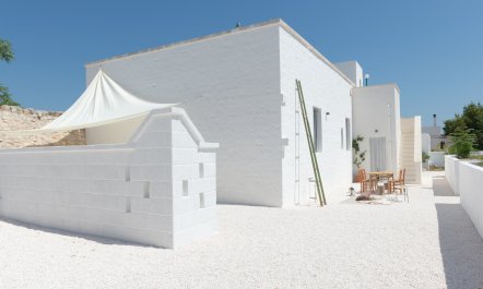 Olive Grove Serenity