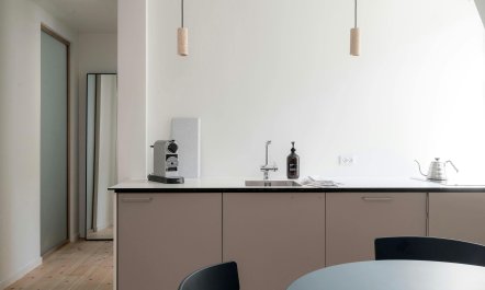 Silver Elderflower 5